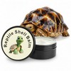 Tortoise Oinment Shell Conditioner Cream – Shell Care Balm Moisturizer