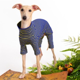 Dog Sweaters for Small Dogs Girls Boys, Striped Pet Sweaters for Fall Winter Dog Clothes, Turtleneck Pullover Knitwear for Small Medium Large Dogs