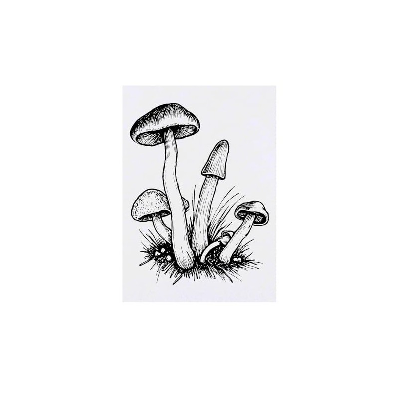 Large 'Wild Mushrooms' Temporary Tattoo (TO00075359)