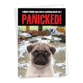 NobleWorks - 1 Hilarious All Occasions Blank Humor Greeting Card with 5 x 7 Inch Envelope - Funny Just Because Pet Dog Pug, Making a Mess for Men and Women (1 Card) - Dog Panicked C2233OCB