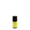 Spearmint Essential Oil Organic