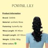 Prettyshop Ponytail Hair Piece Pony Tail Plait Voluminous approx. 50