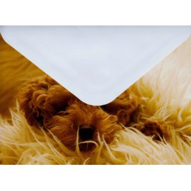 Imagenavi Brown Curly Hair Dog Relaxing Blank Note Card With  White Envelope