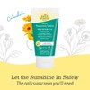 Earth Mama Baby Face Mineral Sunscreen Stick & Lotion Set,