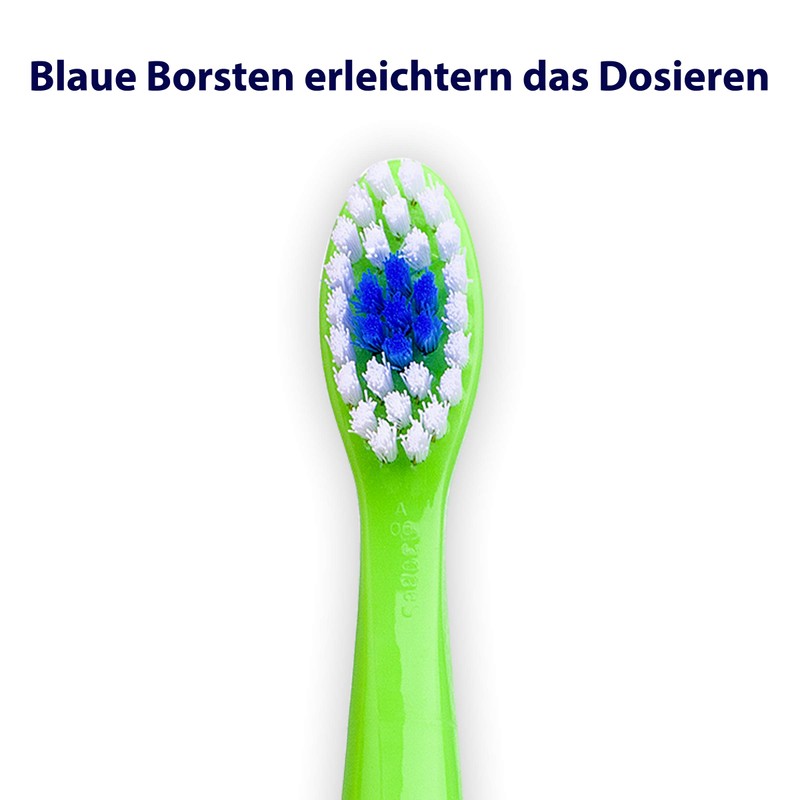 elmex Lern-Zahnbürste, weich, 6 Stück - Zahnbürste für Kinder von