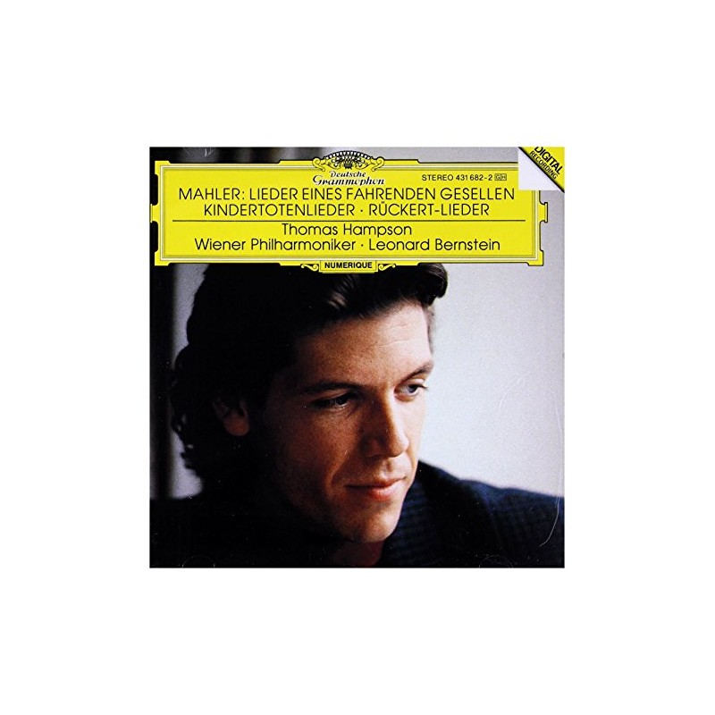 Lieder eines fahrenden Gesellen