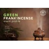 Royal Frankincense Organic Green Hojari Frankincense Oman (Bos. Sacra) (3