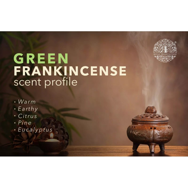 Royal Frankincense Organic Green Hojari Frankincense Oman (Bos. Sacra) (3