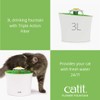 Catit Flower Fountain with Triple Action Filter, Cat Drinking Water