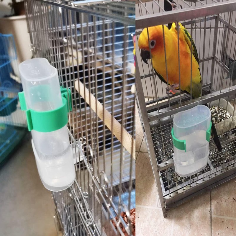 Automatic Bird Water Dispenser Parrot Water Feeder Bird Seed Food