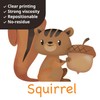 DECOWALL DS-8001 English Alphabet & Animals Wall Sticker for Living
