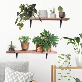 HOTIYOK ins Wall Sticker, Scandinavian Potted Plant, Stylish, Wall Sticker, Green Wall, Wall Decoration, DIY Wallpaper, Wall Sticker, Wall Sticker, Removable Wall, Boys, Girls, Bedroom, Children,
