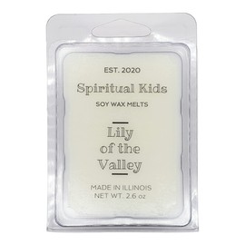 Lily of the Valley Soy Wax Melts 2 Pack - 2.6oz 6 cubes Hand Poured with Fragrant/Essential Oils! | Floral Wax Melts | Birthday Gift | Christmas Gift |