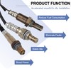 EXPEDE 234-4815 234-4816 2Pcs Upstream & Downstream O2 Oxygen Sensor