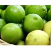 Home-Growth Key Lime, Acid Lime - 10 Seeds 2024 -