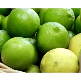 Home-Growth Key Lime, Acid Lime - 10 Seeds 2024 - USA