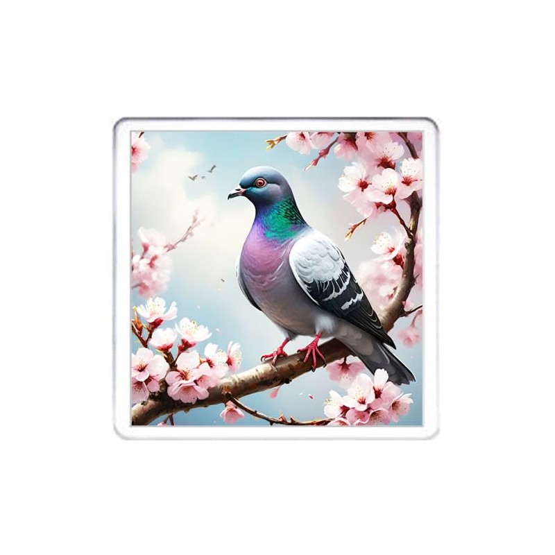 Pigeon Coaster Set. 4 different Pigeon Pictures on 10cm x