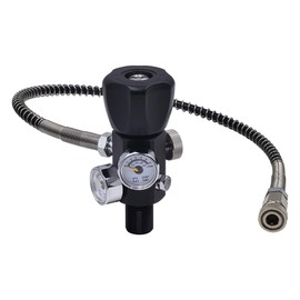 DRYHTEN DIN Valve Filling Station Adapter 4500 psi / 300 bar with 50 cm Hose Dual Gauge for Charging Scuba Tank Paintball PCP Airsoft Diving HPA Cylinder (5/8-18UNF)