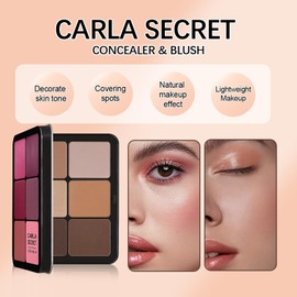 Hinourisha 12 Colours Foundation Concealer Palette + 11 Makeup Brushes, Blush Palette Makeup Sets, Highlight & Contour Pro Palette, Cosmetics Cream Contour Kit, Blendable, for Light & Dark Skin #2