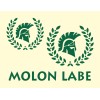 Stencils-by-Joanie Stencils by Joanie Spartan Laurel Wreath Molon Labe Gladiator