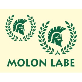 Stencils-by-Joanie Stencils by Joanie Spartan Laurel Wreath Molon Labe Gladiator DIY Art Signs