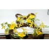 Nantucket Easter Floral Bunny Wreath
