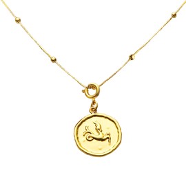 Dlismno Capricorn 18K Gold Plated Medallion Pendant Necklace for Women,12 zodiac signs, 12 Star Sign, 12 Constellation, 14~16 in