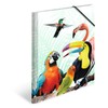 HERMA Portfolio Folder A4 Parrot, Children's Corner Folder Made of