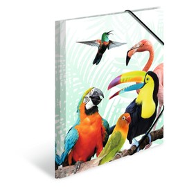 HERMA Portfolio Folder A4 Parrot, Children's Corner Folder Made of Plastic with Animal Motif, Elastic Band, Inner Flaps and Inner Print for Boys and Girls