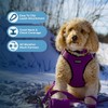 Best Pet Supplies - All Weather Mesh, Reflective, No Pull