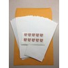 10 Forever Stamps with 10 Peel-and-Sticky Envelopes (Stamp Design May