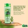 Dabur Vatika Wild Cactus Shampoo 400mL