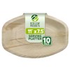 ECO Leaf 10 Disposable Palm Leaf Serving Platters, Medium Oval