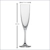 Schott Zwiesel Classico Champagne Flute (Set of 6)