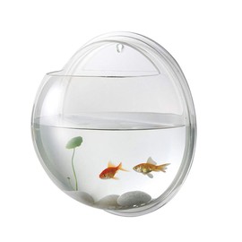 Wall Mounted Fish Bowl: Acrylic Fish Bubble Betta Tank & Hanging Planter - Wall Hanging Aquarium and Hydroponic Pot for Home Decor, Air Plants, Terrarium, Mini Aquarium Decoration