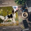 2024 2025 English Setter Calendar - Dog Breed Monthly Wall