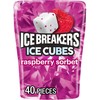 ICE BREAKERS Ice Cubes Raspberry Sorbet Flavored Sugar Free Chewing