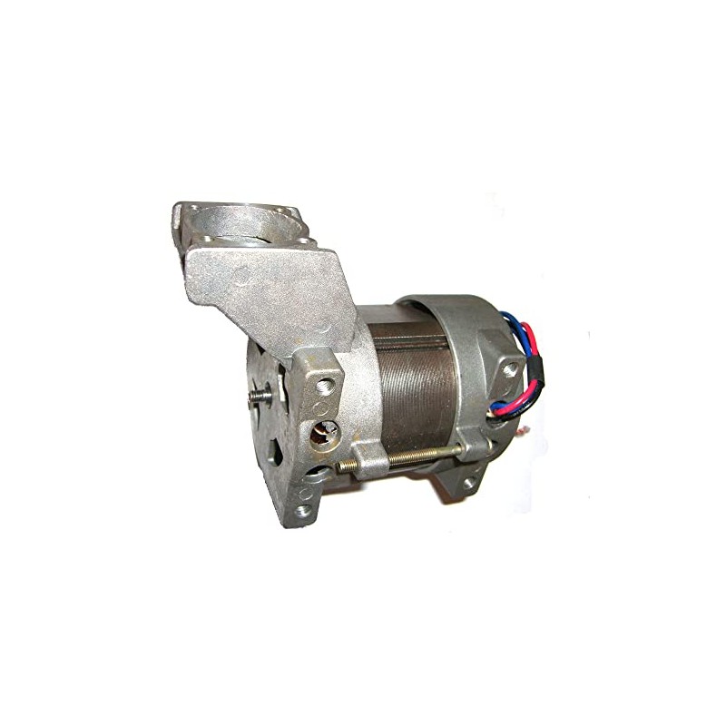 Compressors Spare Parts: Motor AS176