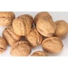 Walnuts In-shell (Whole) (10 LB)