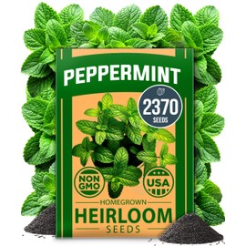 HOME GROWN Non GMO Peppermint Seeds Pack 2,370 Heirloom Mint Seeds for Planting. Grow Peppermint Plants in Your Herb Garden Indoors or Outdoors (Mentha x piperita)