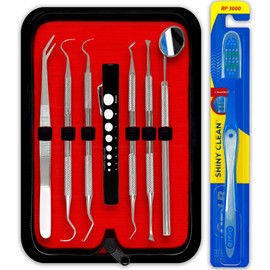 DEXA DENTAL Professional Dental Hygiene Kit - Stainless Steel Tartar Remover, Tooth Scraper, Pick Scaler, Penlight, Toothbrush, and Case