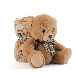 Cuddly Blanket Baby Boys Girls with Cuddly Toy Teddy Bear - Baby Blanket Brown Toddler from 0+ Months with Plush Toy - Plush Toy Super Soft with Blanket Children 1 2 3 Years - 120 x 80 cm (Bear)