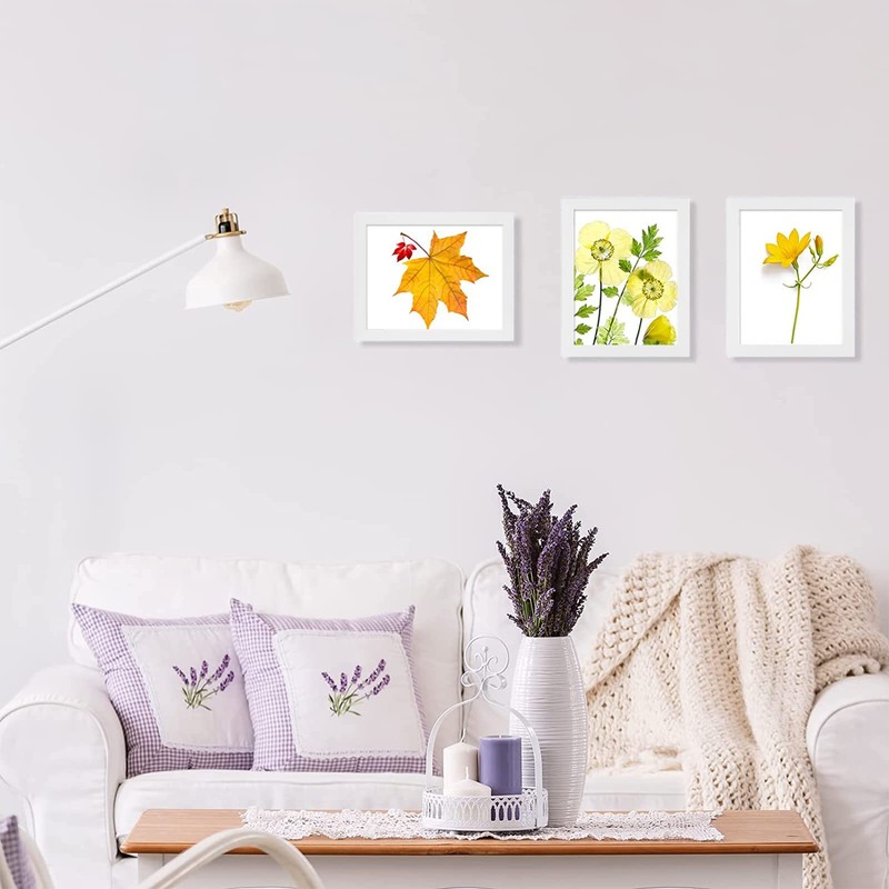 Frametory, Document/Diploma Table-Top Frame for 8.5x11 Picture & Real Glass