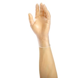 AmerCare Verge Powdered Gloves, Vinyl, Medium, Case of 1000