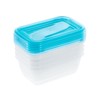Keeeper Storage Container Set Purple Transparent