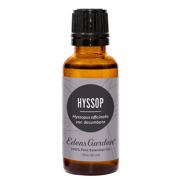 Edens Garden Hyssop Essential Oil, 100% Pure Therapeutic Grade (Undiluted Natural/Homeopathic Aromatherapy Scented Essential Oil Singles) 30 ml
