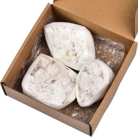 VIZYTOU Natural White Cluster Rock Specimens Healing Crystal Quartz Stone Rough Mineral Collection Meditation Stone 1.0 Pound