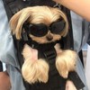 1 Piece Puppy Windscreen, Outdoor Sunscreen Glasses, Pet Supplies, Elastic