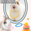Rabbit Training Ring Toy, Rabbit Interactive Toy, Bunny Educational Toys