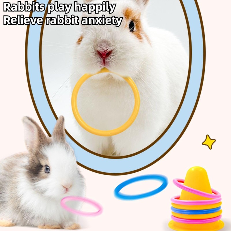 Rabbit Training Ring Toy, Rabbit Interactive Toy, Bunny Educational Toys